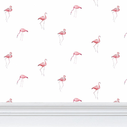 flamant rose
