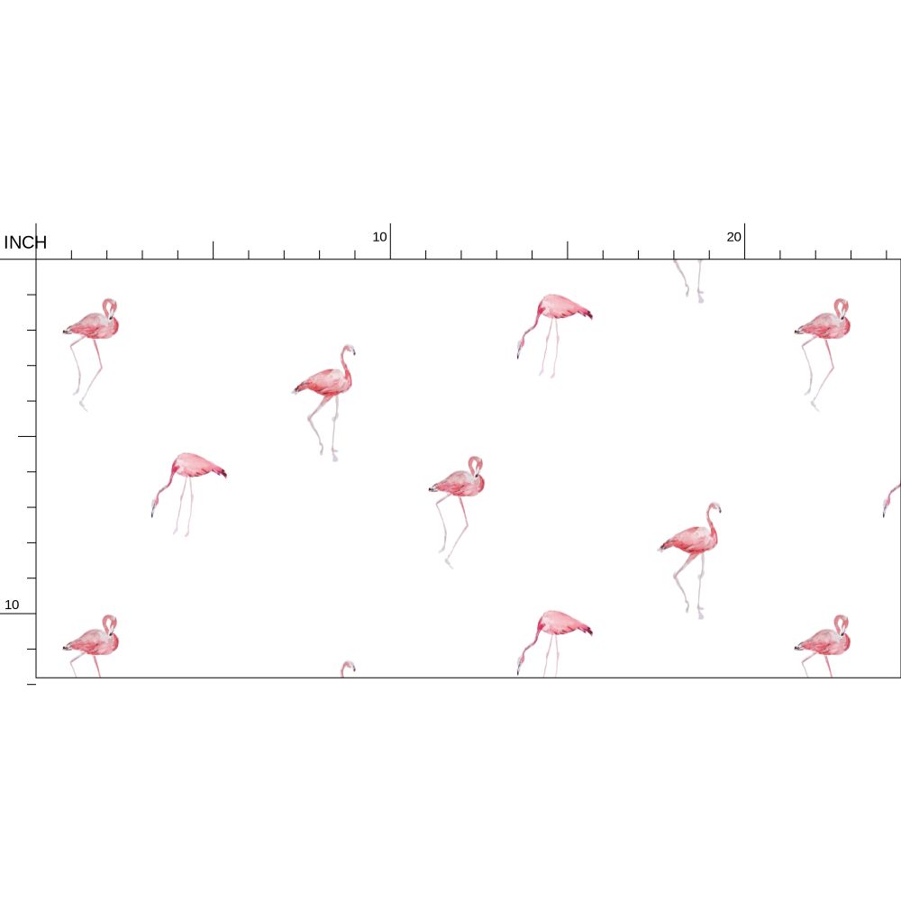flamant rose