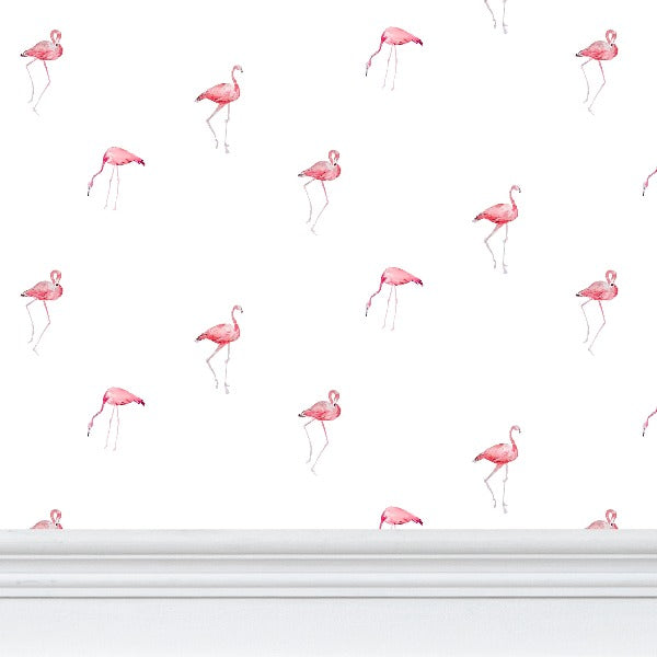 flamant rose