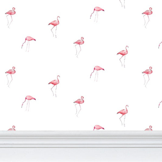 flamant rose